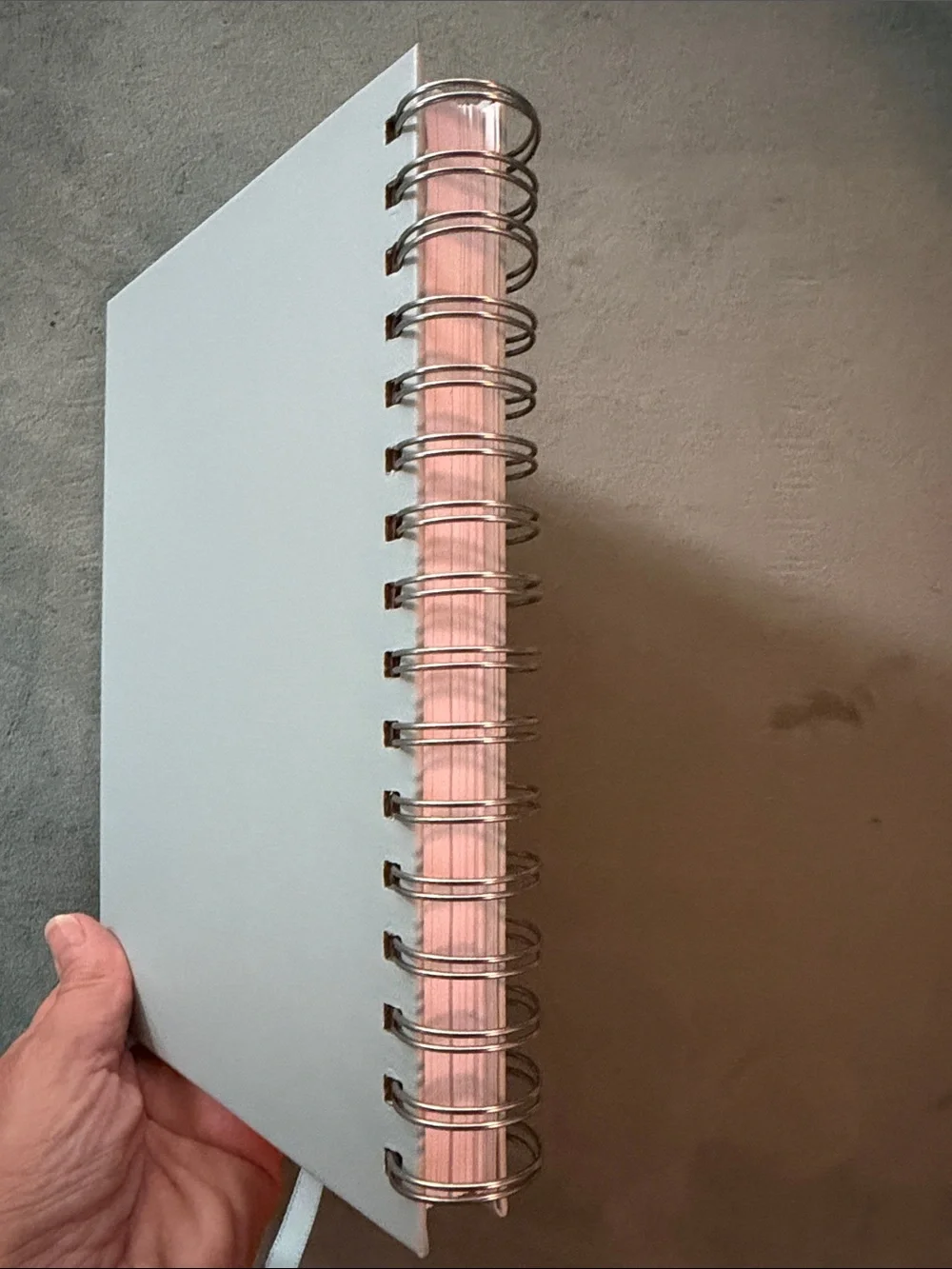 Gratitude Journal Spiral Notebook